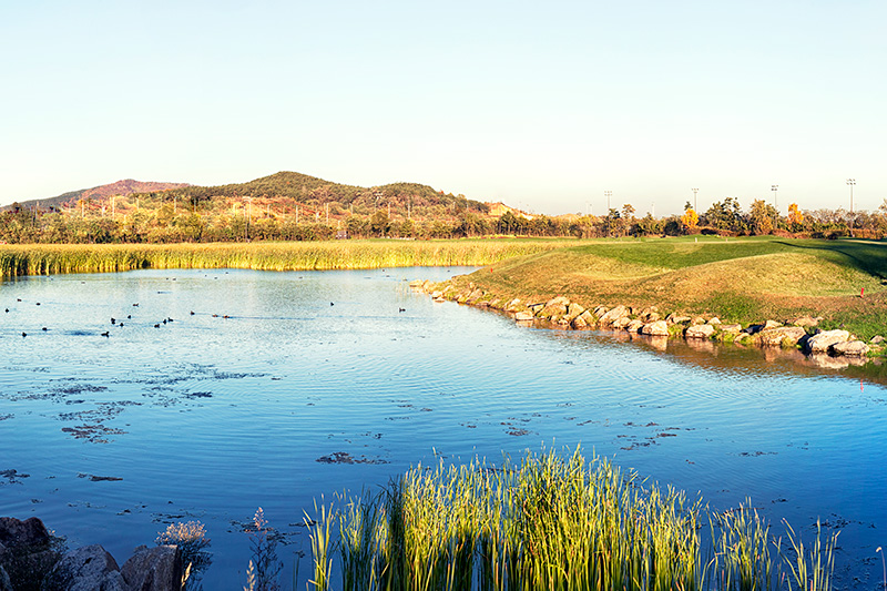 017b10d9e882b0be0fdf47971c2b3067_1450456493_49.jpg 017b10d9e882b0be0fdf47971c2b3067_1450456